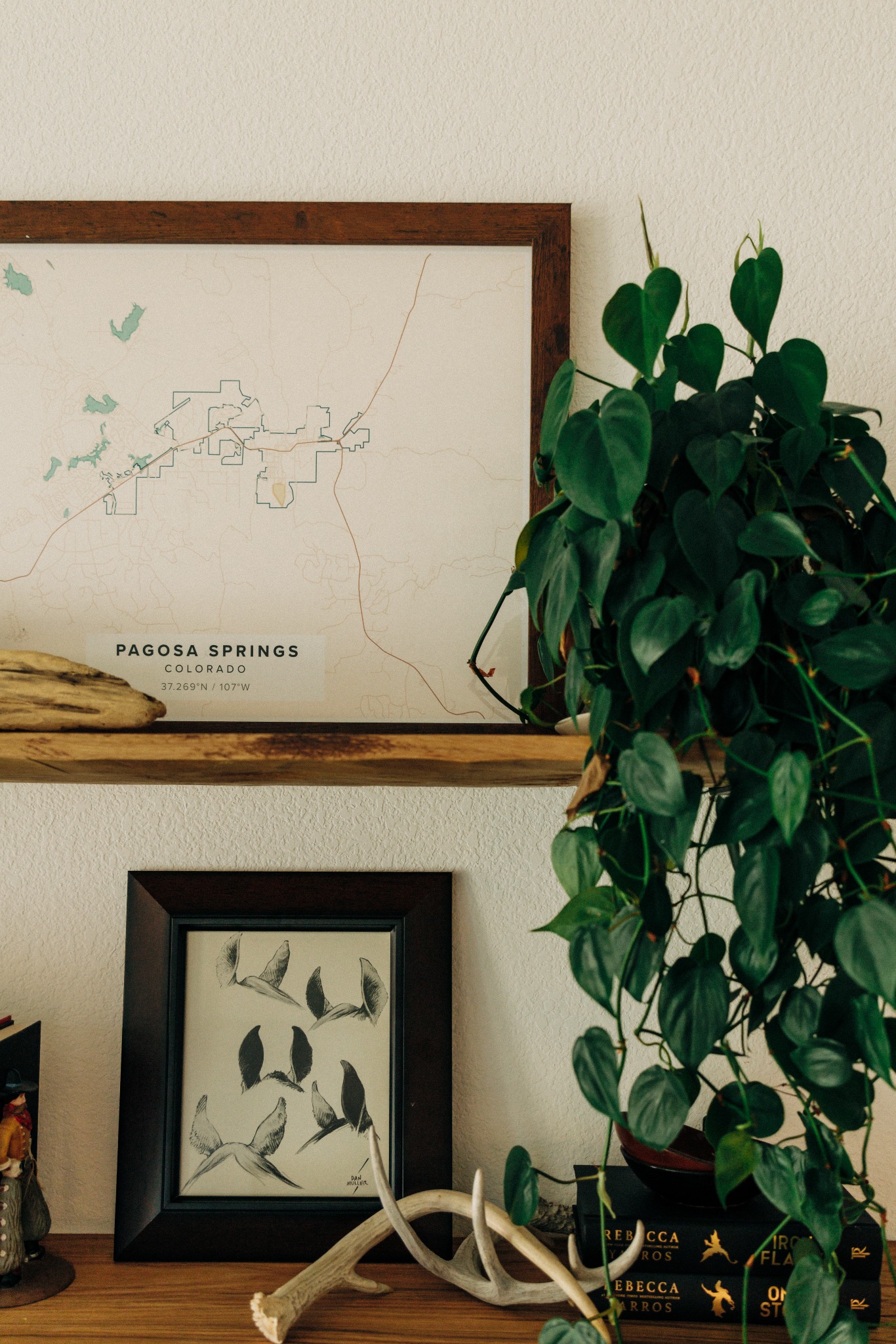 Wyatt Run bookshelf detail with Pagosa Springs map and plant
