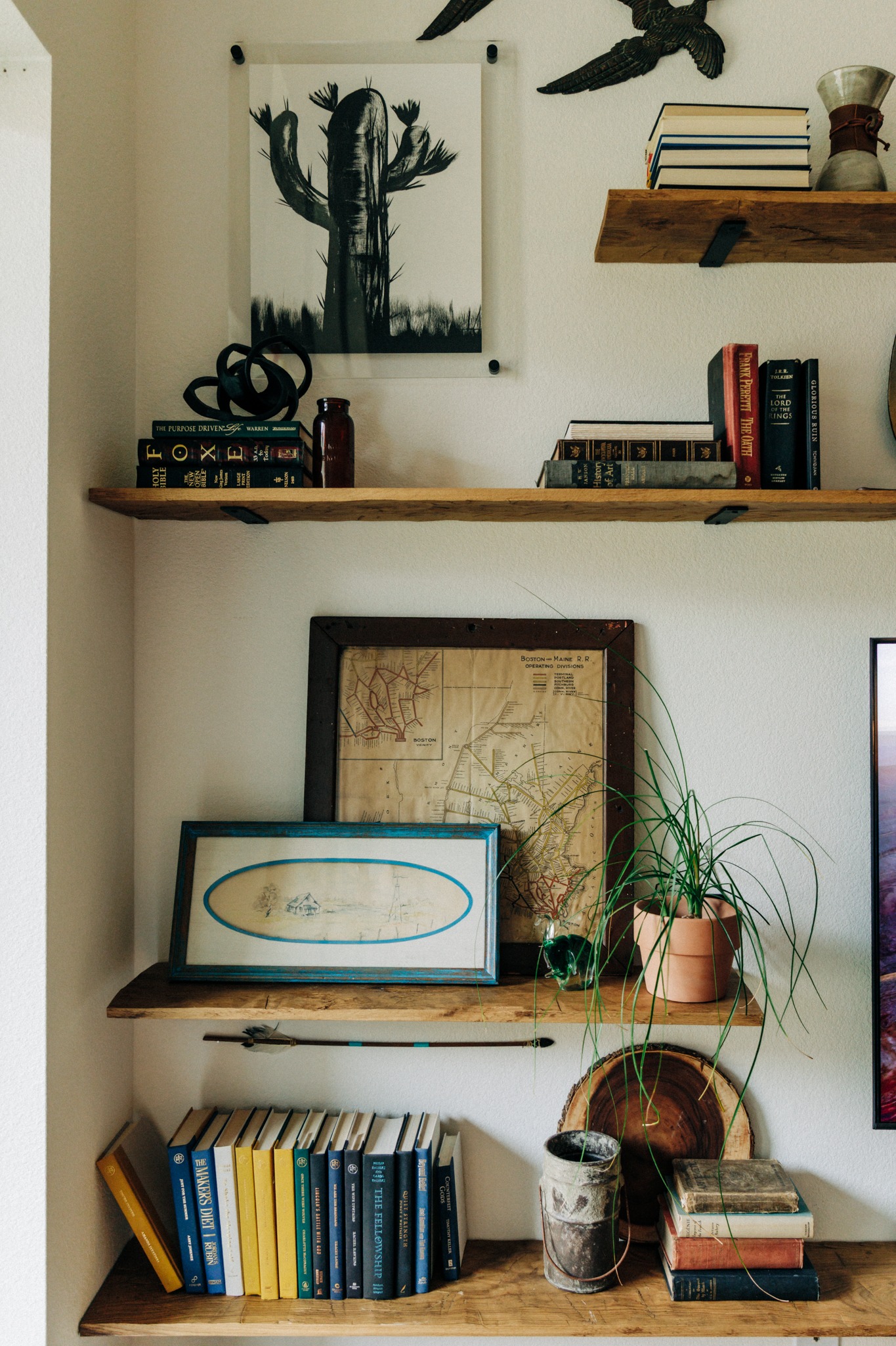 Wyatt Run collected bookshelf